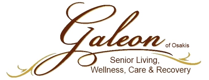 Galeon of Osakis logo